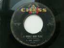 JO ANN GARRETT - A WHOLE NEW PLAN