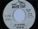Northern Soul 45 AD LIBS On The Corner BLUE CAT VG+ promo HEAR