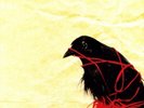 DEATH CAB FOR CUTIE-TRANSATLANTICISM (UK IMPORT) VINYL LP NEW