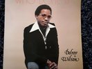 Delroy Wilson - Who Done It (LP, Album) UK press on Third World. EX.