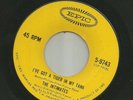 SURF DOOWOP- INTIMATES w LOU REED-  IVE GOT A TIGER IN MY TANK  -HEAR- 1964 EPIC