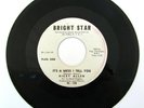RICKY ALLEN IT'S A MESS I TELL YOU/ SKATE BOO-GA-LOO WLP PROMO 45 NORTHERN SOUL