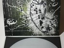 DESTROYER DESTROYER - ‘Littered with Arrows’ 12” (Presidential variant) WV003