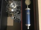 Blue Microphones Bluebird SL Studio Condenser Microphone