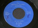 Sequins   Try My Love / Gonna Break Your Heart   RARE Detroit northern soul 45
