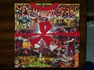 NEW SUPER RARE Yeah Yeah Yeahs - Fever To Tell Deluxe Vinyl 2xLP Box w/ Cassette