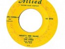 DOO WOP 45RPM,,,,THE VIBES,,,