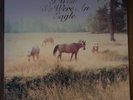 Sometimes I Wish We Were An Eagle (LP-Vinyl) von Bill Callahan (2009)