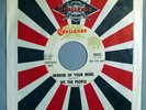 HEAR IT 60's MOD Garage Promo 45 rpm We The People 