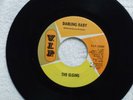 northern soul THE ELGINS Darling Baby/Put Yourself in My Place VIP 25029 M-