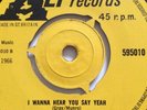 The Hi-Fis,I Wanna Hear You Say Yeah, VG,Alp freakbeat,garage ,1966