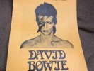 DAVID BOWIE  SHOW SOUVENIR RARE PROGRAM ALADDIN SANE 1973 Original Ziggy Book????