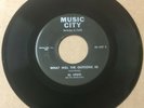 Al Lewis & Modernistics DOO WOP 45 What Will The Outcome Be LORD LUTHER MINT-