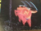 Black Sabbath - Paranoid - Original Release Vinyl 12