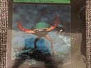 Vangelis Lp SEALED Soil Festivities 1984 New Original Press