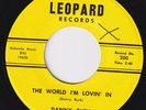 DANNY BURK The World I'm Lovin In RARE Memphis garage 45 Tommy ROLAND JANES HEAR