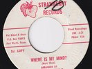 WILD SOULS Where Is My Mind  Texas psych 45 Fort Worth garage HEAR