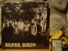 SILVER BIRCH LP/1974 UK/Rare British Folk/Sandy Denny/Fotheringay/Dulcimer/Trees