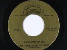Black Gospel 45 - Flames Of Joy - Get Your House In Order - Perfection - mp3