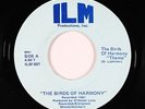 Modern Soul Funk Gospel 45 - Birds Of Harmony - Theme - ILM - VG+ mp3 - rare