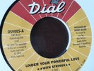 45 giri  joe tex  under your powerful love   dial repress