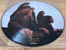 PARADISE LOST GOTHIC FIRST PRESS PICTURE DISC 1991 EXCELLENT CONDITION...