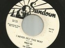 ROCKABILLY -WALLY LEE & STORMS -  I NEVER FELT THIS WAY  -HEAR-1959 DJ SUNDOWN