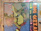 THE RAREST King Gizzard and the Lizard Wizard Vinyl EVER  'Willoughby's Beach'