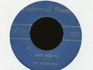 THE NIGHTLITES I Love You So Angel on Universal Sound R&B Teen Tragedy 45 Hear