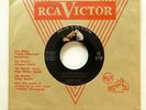 SUNNY GALE 45 A Little you / Constantly RCA popcorn SOUL Mint-
