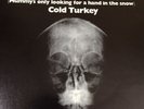 1969 Plastic Ono Band Cold Turkey 45 Original Picture Sleeve John Lennon