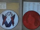 System of a Down Steal This Album Rare Vinyl 2 LP Picture Discs Near Mint