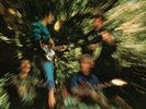 Bayou Country [LP] by Creedence Clearwater Revival (Vinyl, Jan-2014, Decca)
