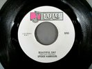 Spider Harrison ?Beautiful Day Lulu?-9703 Never in my life 1971 Funk
