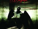 MY DYING BRIDE-SONGS OF DARKNESS WORDS OF LIGHT (UK IMPORT) VINYL LP NEW