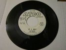 THE DEBUTS  If I Cry / Gettin Mellow  dj PROMO garage soul on ATCO
