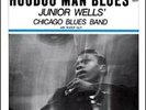 JUNIOR WELLS sealed HOODOO MAN BLUES Delmark #612 1966 LP with Buddy Guy