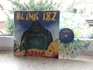 BLINK 182-BUDDHA COL LP,GREEN DAY,OFFSPRING, NOFX,BAD RELIGION, PUNK,PENNYWISE