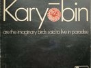 THE SPONTANEOUS MUSIC ENSEMBLE Karyobin VINYL LP Original 1968 Island 1st