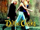 DIXIE CHICKS / WIDE OPEN SPACES (New Vinyl)