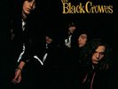 The Black Crowes - Shake Your Money Maker [Used Very Good Vinyl LP]