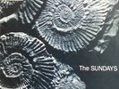 Sundays - Reading, Writing & Arithmetic.1990 Aussie Picture Disc. UK Indie Rock