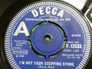 THE FLIES,  DECCA PSYCH DEMO 45, I'M NOT YOUR STEPPING STONE. *LISTEN*