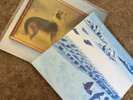 Explosions in the Sky The Rescue + How Strange Vinyl Bundle
