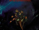 The Moody Blues 