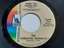 1967 Rock 45 THE UNRELATED SEGMENTS Where You Gonna Go/ It's Gonna Rain  DJ  M-
