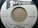 THE MAYTALS  
