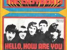 THE EASYBEATS 45 HELLO HOW ARE YOU+PS GERMANY RARE 1968