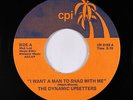 70s Soul 45 - Dynamic Upsetters - I Want A Man To Shag With Me - CPI - VG++ mp3