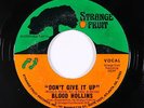 70s Soul 45 - Blood Hollins - Don't Give It Up - Strange Fruit - VG++ mp3